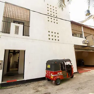 Yoho Solid Borella Colombo